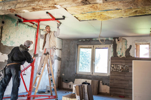 Best Insulation Maintenance and Repair in Rtez, CO